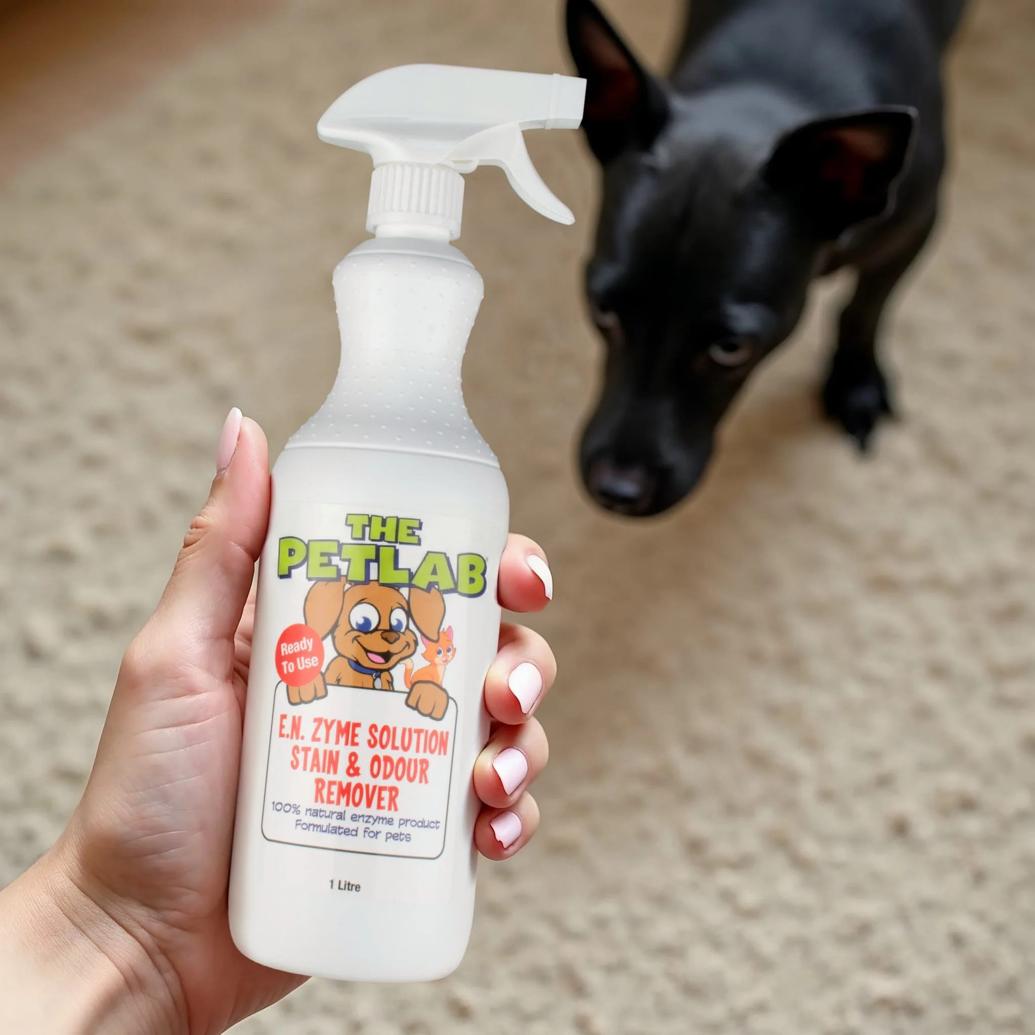 Product image 15